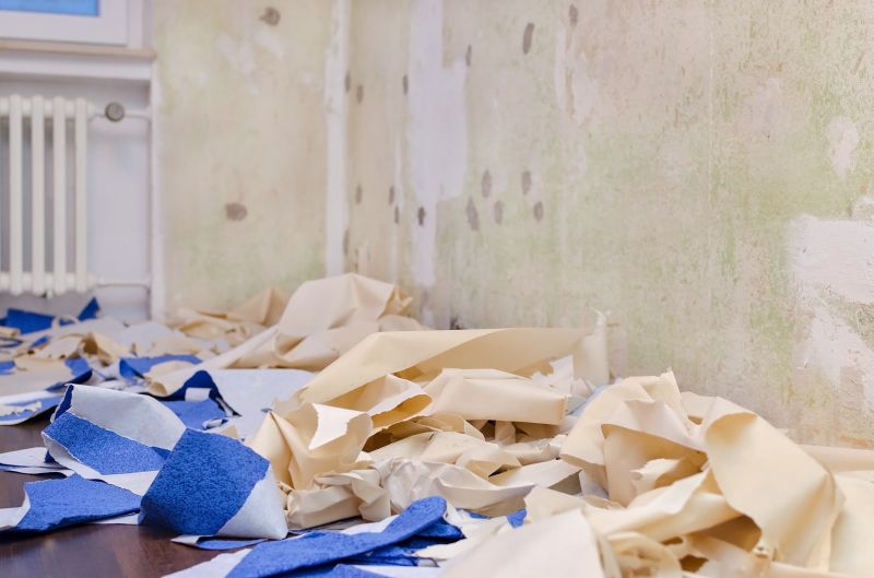 Wallpaper Stripping